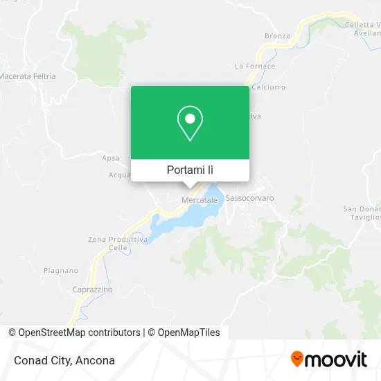 Mappa Conad City