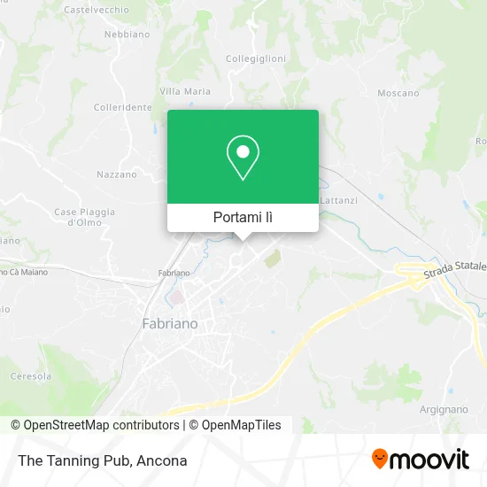 Mappa The Tanning Pub