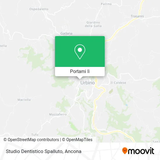 Mappa Studio Dentistico Spalluto