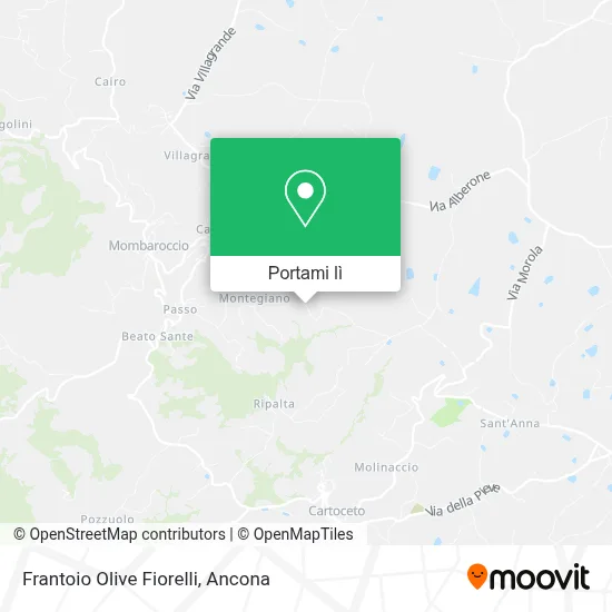 Mappa Frantoio Olive Fiorelli