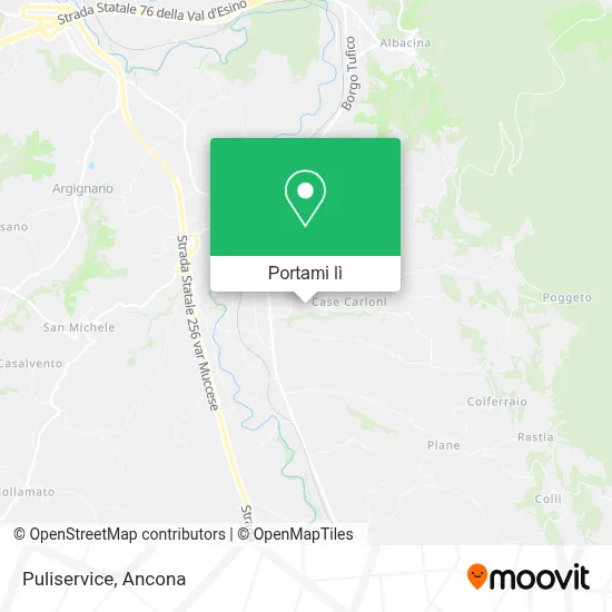 Mappa Puliservice