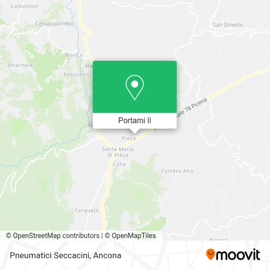 Mappa Pneumatici Seccacini