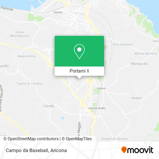Mappa Campo da Baseball