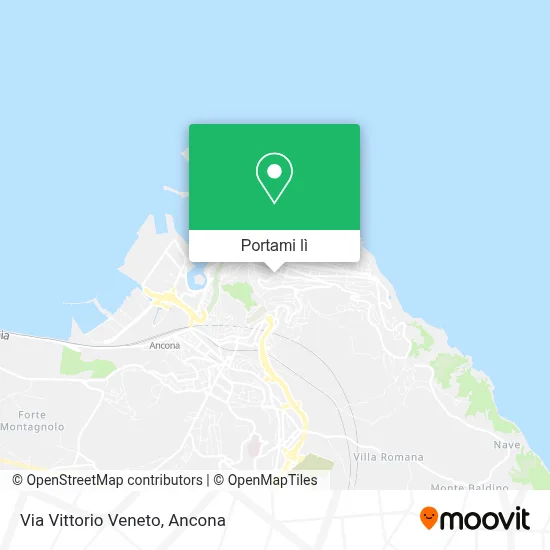 Mappa Via Vittorio Veneto