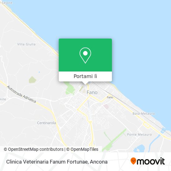 Mappa Clinica Veterinaria Fanum Fortunae