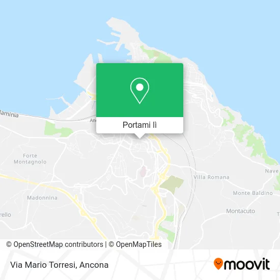 Mappa Via Mario Torresi