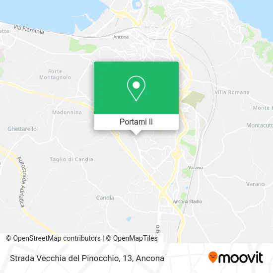 Mappa Strada Vecchia del Pinocchio, 13