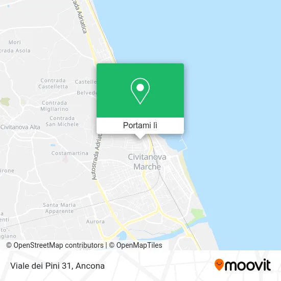 Mappa Viale dei Pini 31