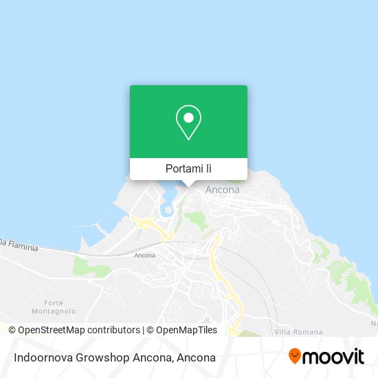 Mappa Indoornova Growshop Ancona