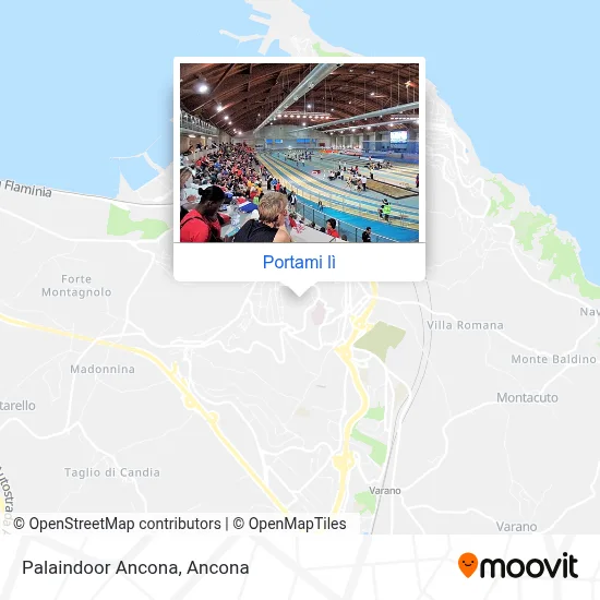 Mappa Palaindoor Ancona