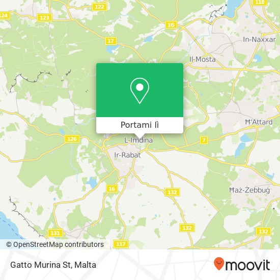 Mappa Gatto Murina St