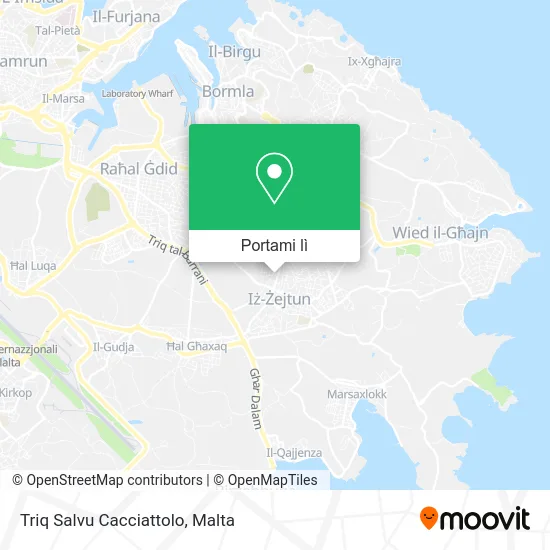 Mappa Triq Salvu Cacciattolo