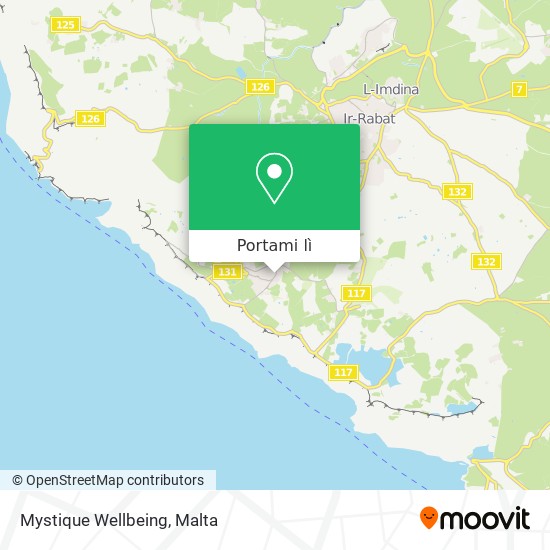 Mappa Mystique Wellbeing