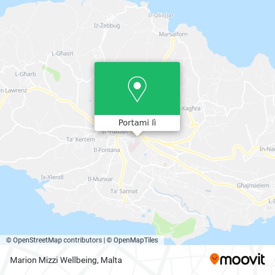 Mappa Marion Mizzi Wellbeing