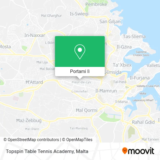 Mappa Topspin Table Tennis Academy