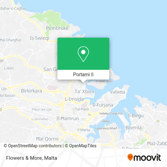 Mappa Flowers & More