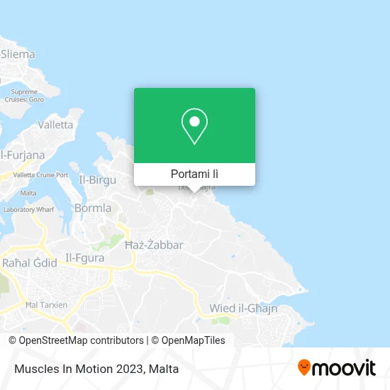 Mappa Muscles In Motion 2023