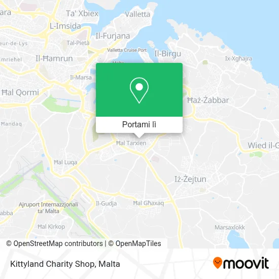 Mappa Kittyland Charity Shop