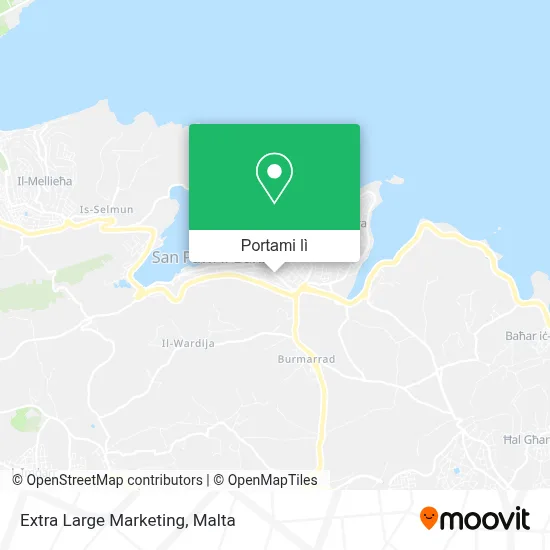 Mappa Extra Large Marketing