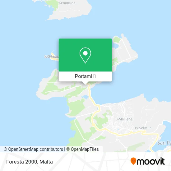 Mappa Foresta 2000