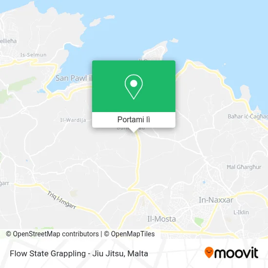 Mappa Flow State Grappling - Jiu Jitsu