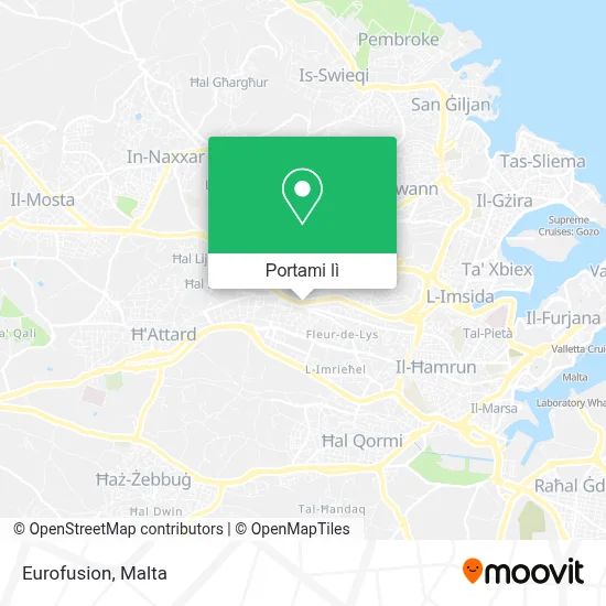 Mappa Eurofusion