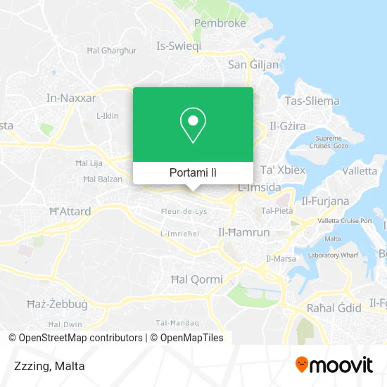 Mappa Zzzing