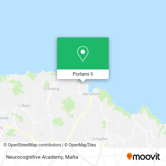 Mappa Neurocognitive Academy