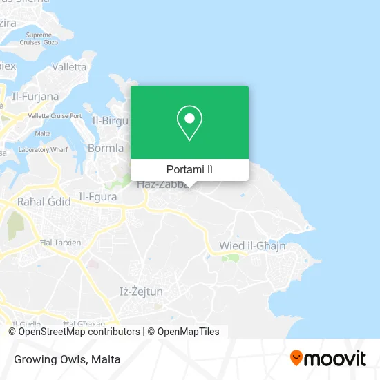 Mappa Growing Owls