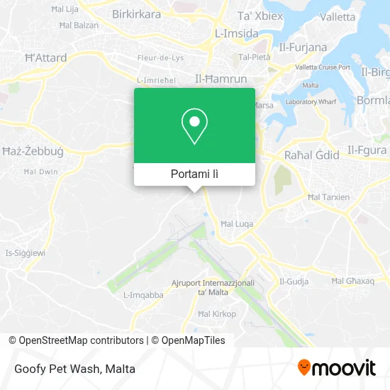 Mappa Goofy Pet Wash