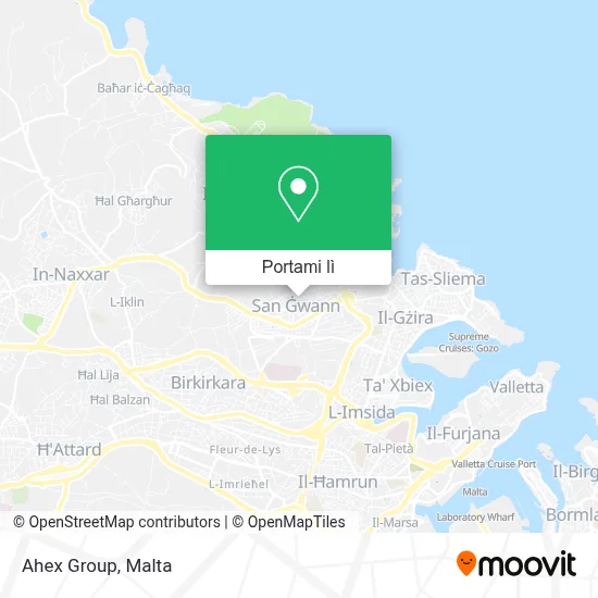 Mappa Ahex Group
