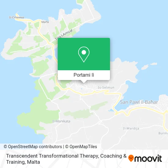 Mappa Transcendent Transformational Therapy, Coaching & Training