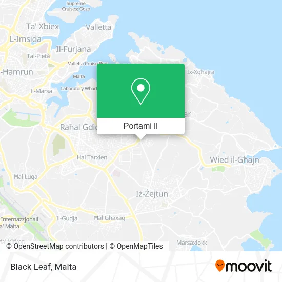 Mappa Black Leaf