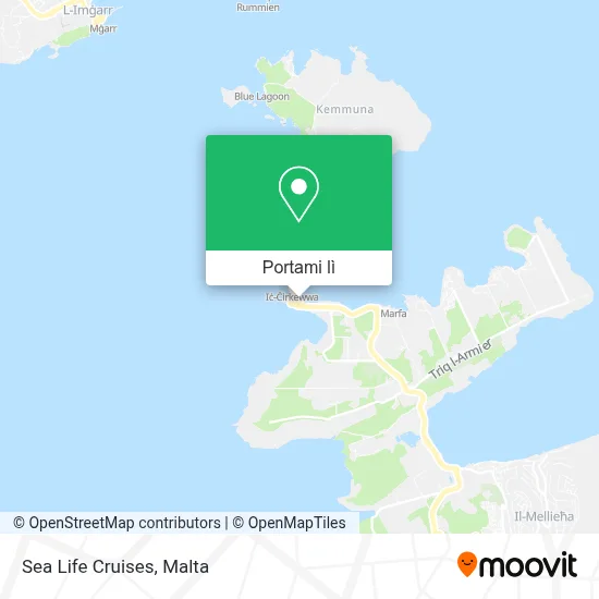 Mappa Sea Life Cruises
