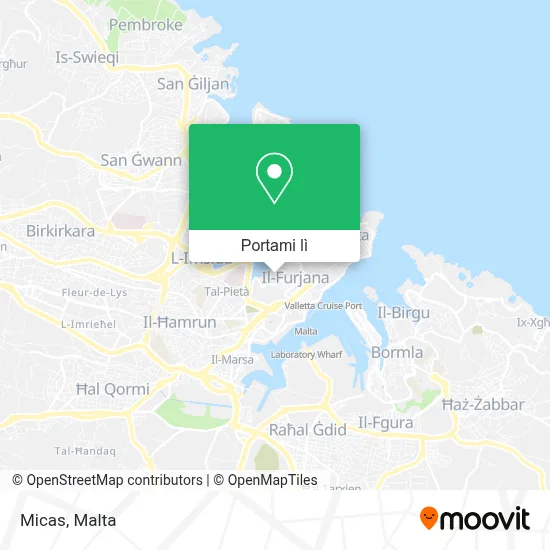 Mappa Micas