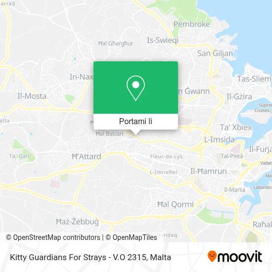 Mappa Kitty Guardians For Strays - V.O 2315