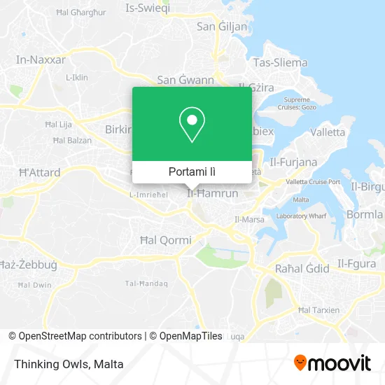 Mappa Thinking Owls