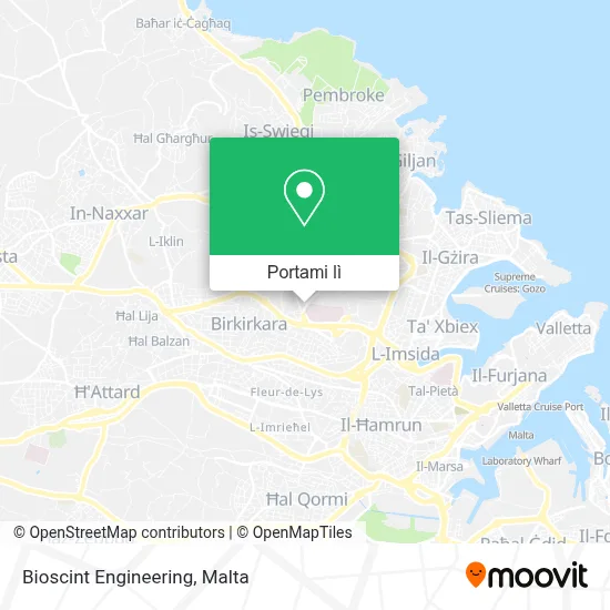 Mappa Bioscint Engineering