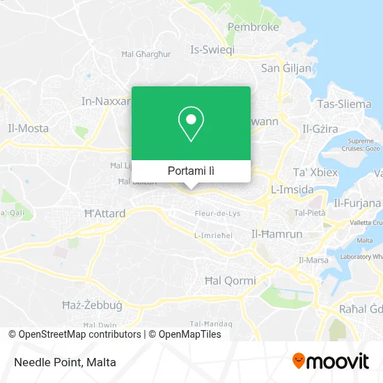 Mappa Needle Point