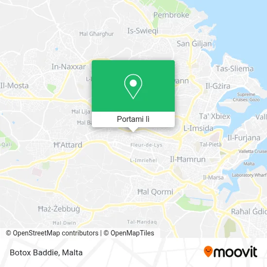 Mappa Botox Baddie