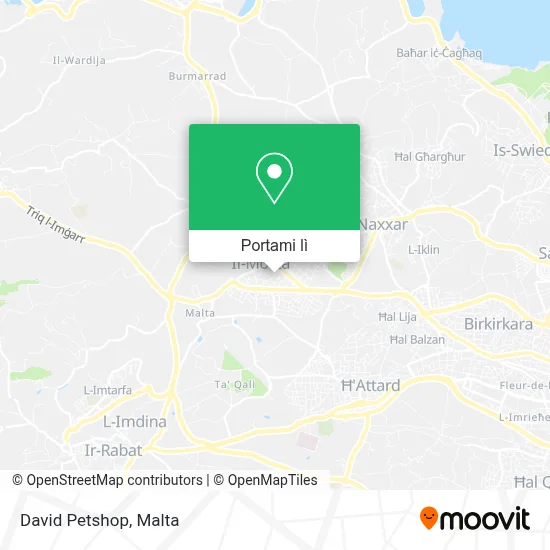 Mappa David Petshop
