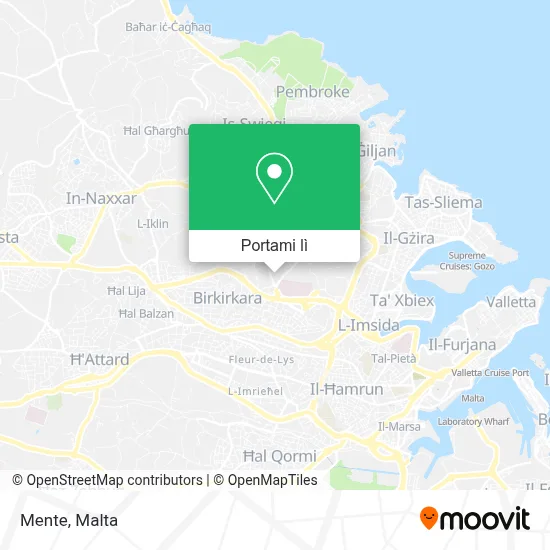 Mappa Mente