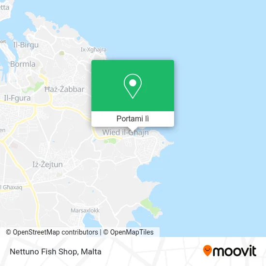 Mappa Nettuno Fish Shop