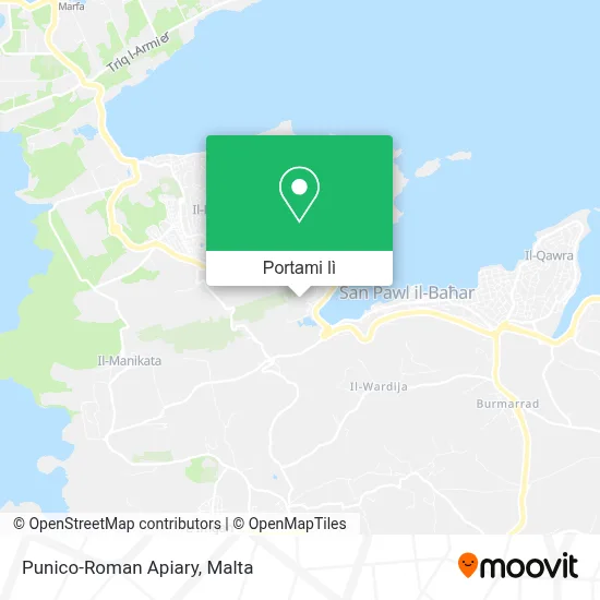 Mappa Punico-Roman Apiary