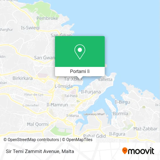 Mappa Sir Temi Zammit Avenue