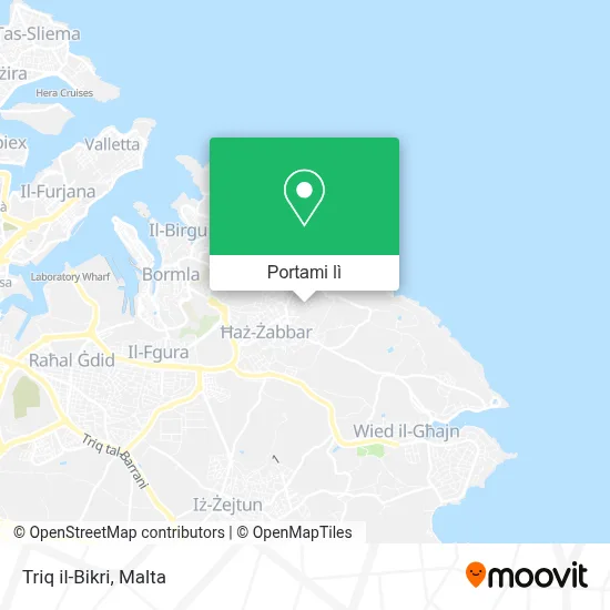 Mappa Triq il-Bikri