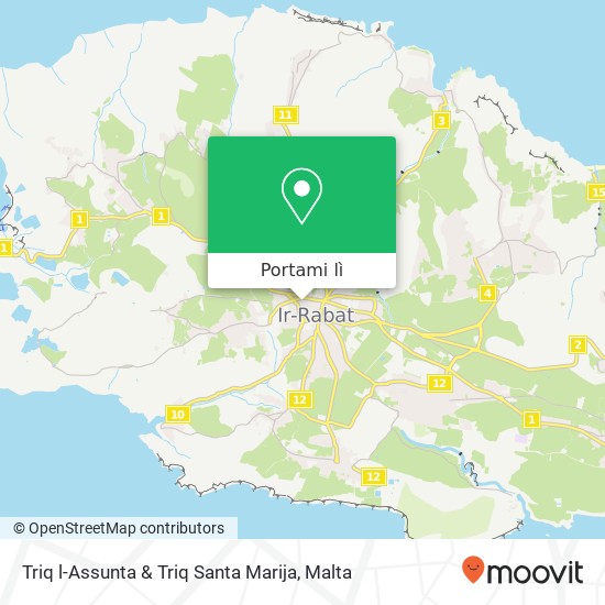 Mappa Triq l-Assunta & Triq Santa Marija