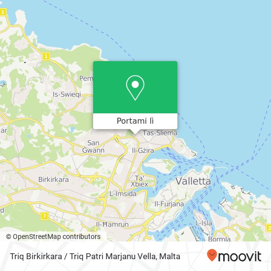 Mappa Triq Birkirkara / Triq Patri Marjanu Vella