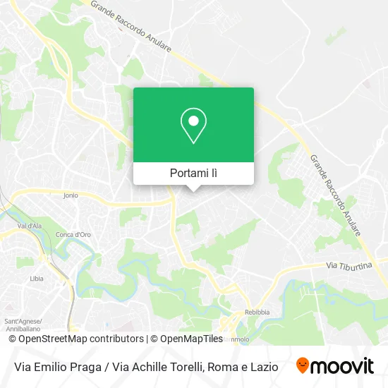 Mappa Via Emilio Praga / Via Achille Torelli