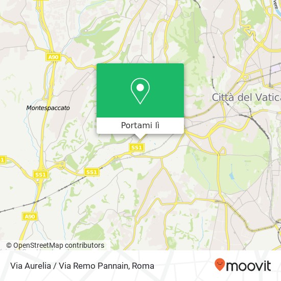 Mappa Via Aurelia / Via Remo Pannain